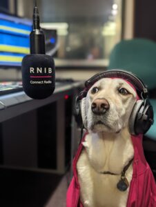 RNIB Connect Radio Quigley (the dog), hoodie & mic